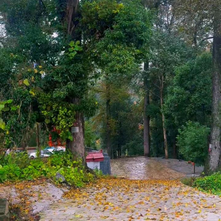 &一场秋雨&一场寒&