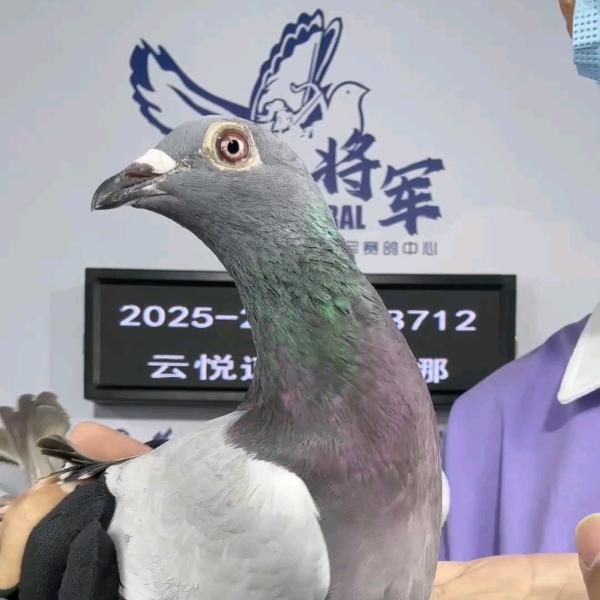 云悦速运—南昌直达往返.河北.山西.内蒙