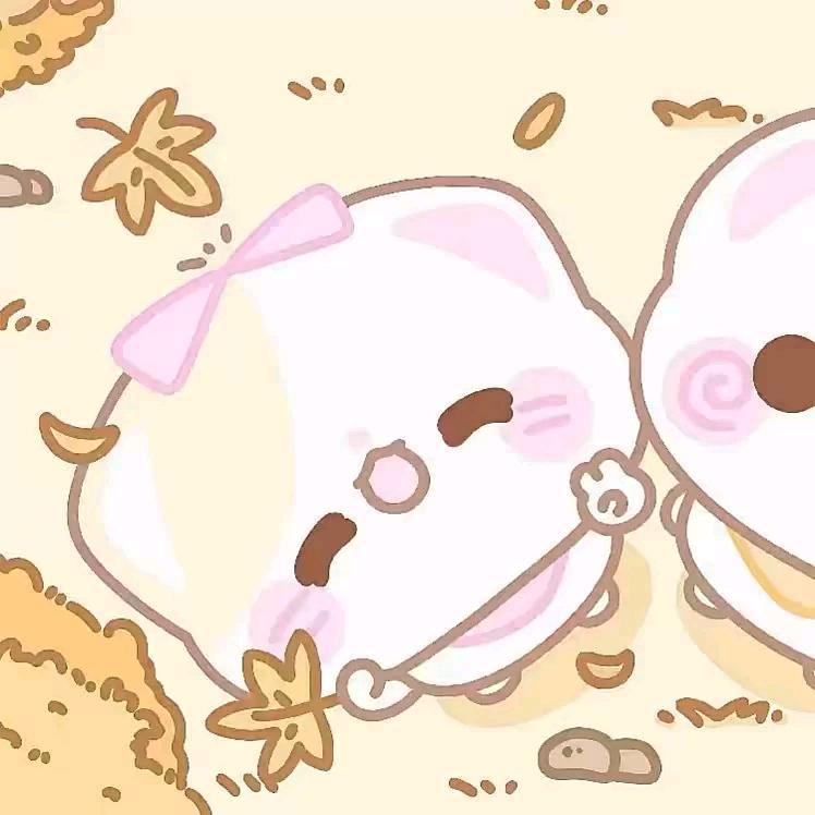小7🐾