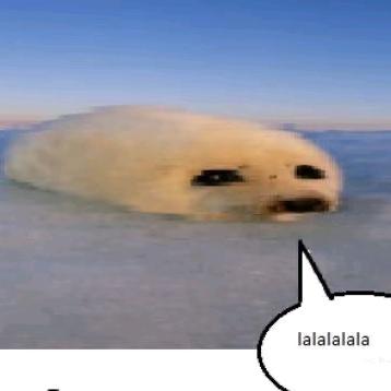 头骨