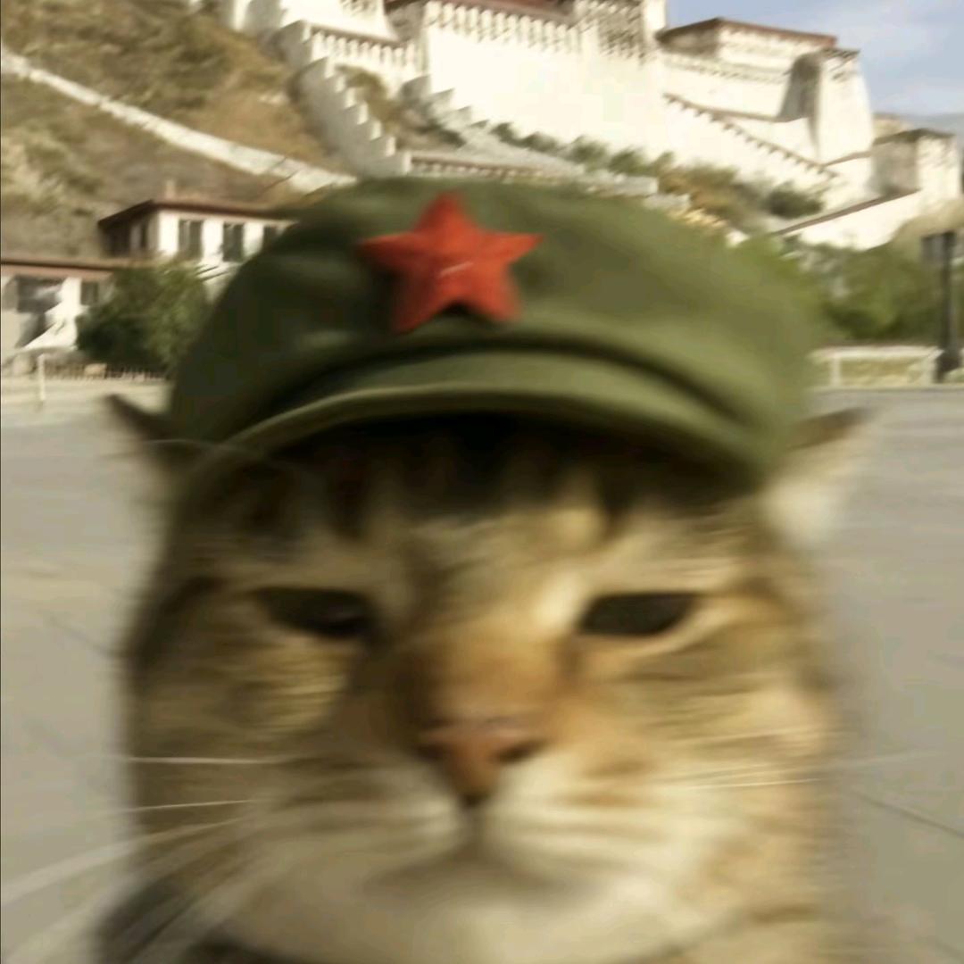 谁是蕉大狼