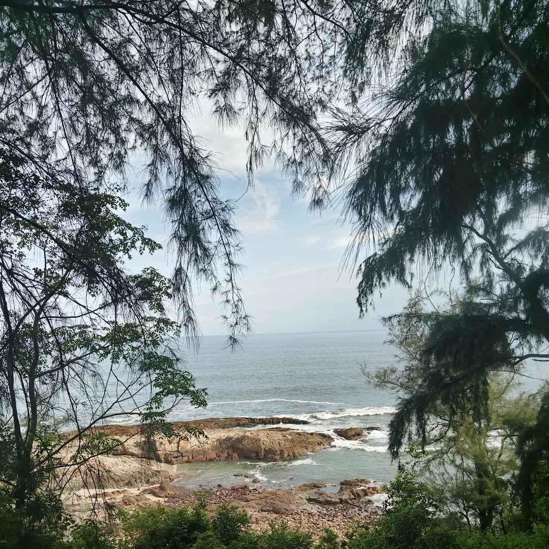 半身轻狂半身伤