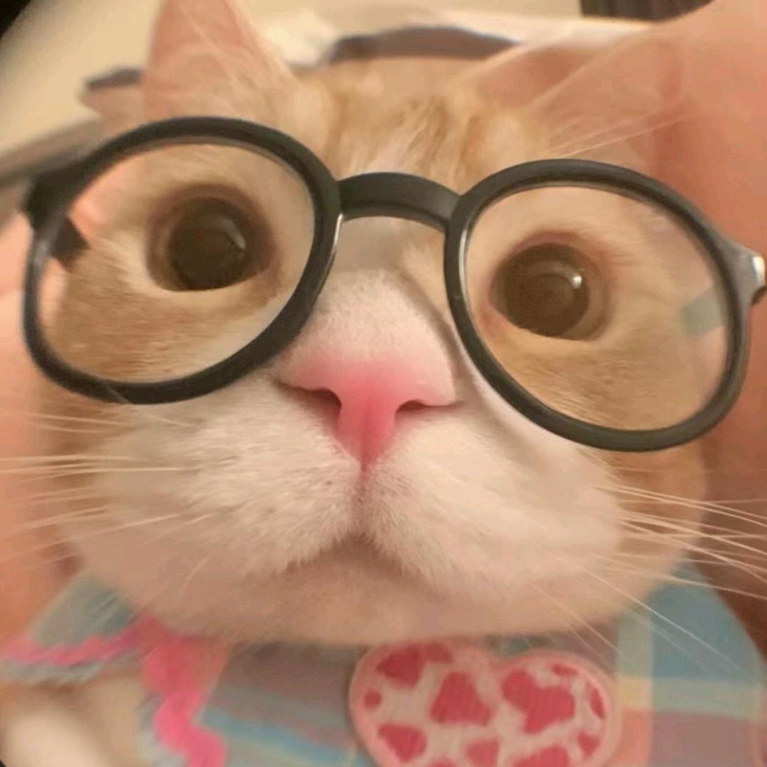 七七叭叭