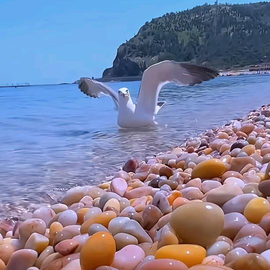 糖李智明