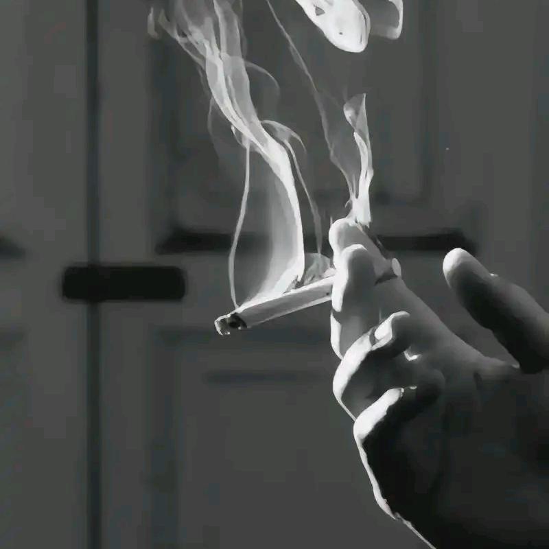 ……………………