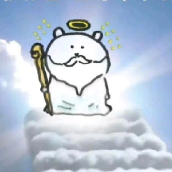 淳淳