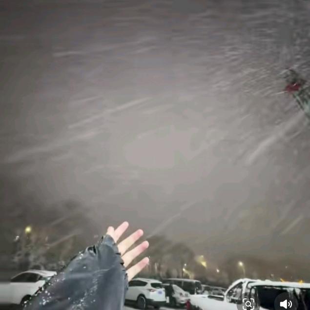 苏念安