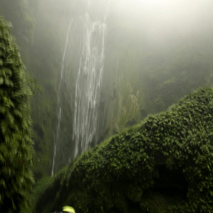 我主沉浮头像