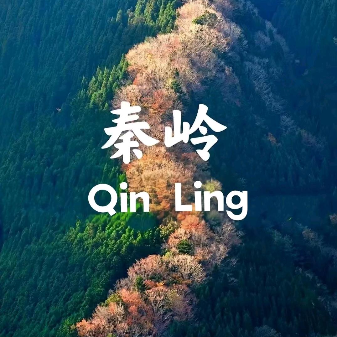 秦巴甄选供应链