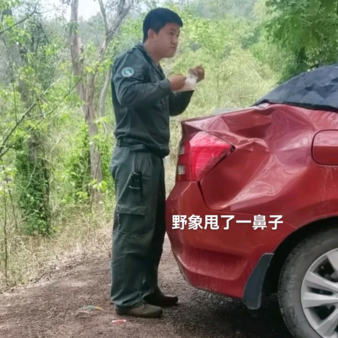 萝卜条