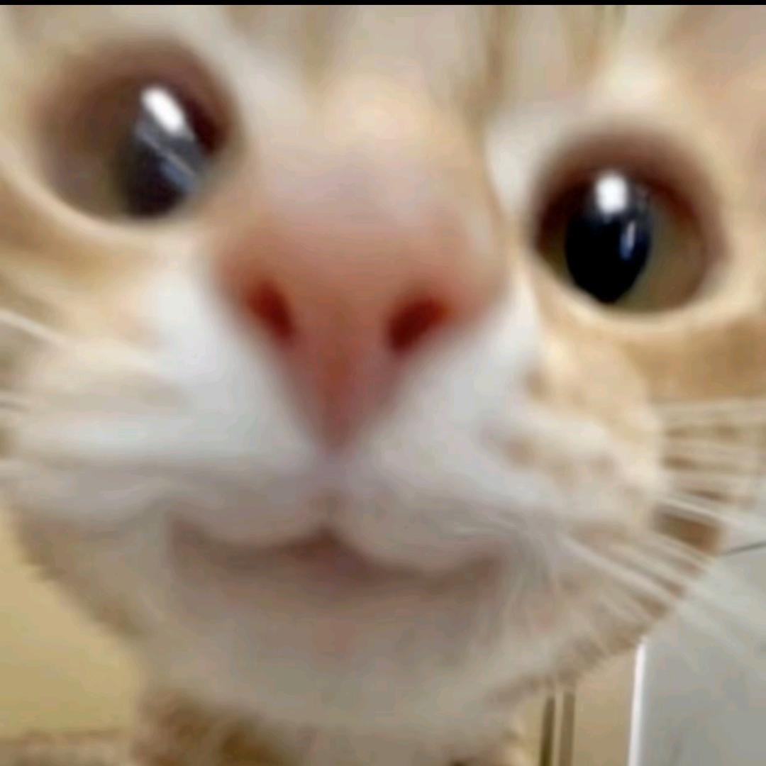 在睡觉