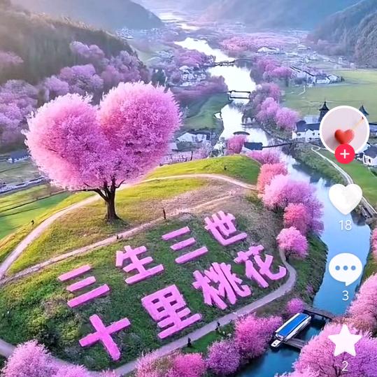 💞山田菊花香💞