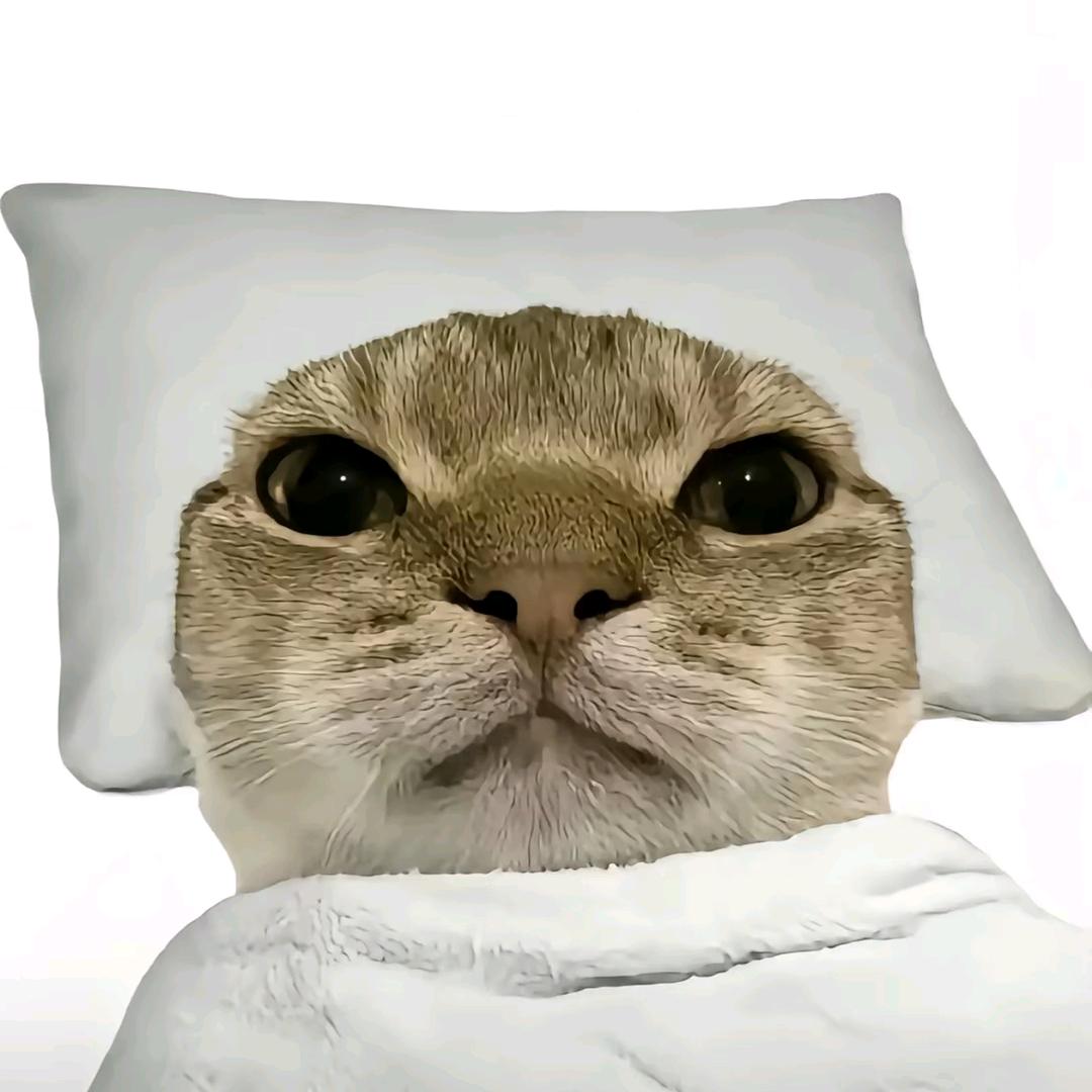 ૮ ・ﻌ・ა