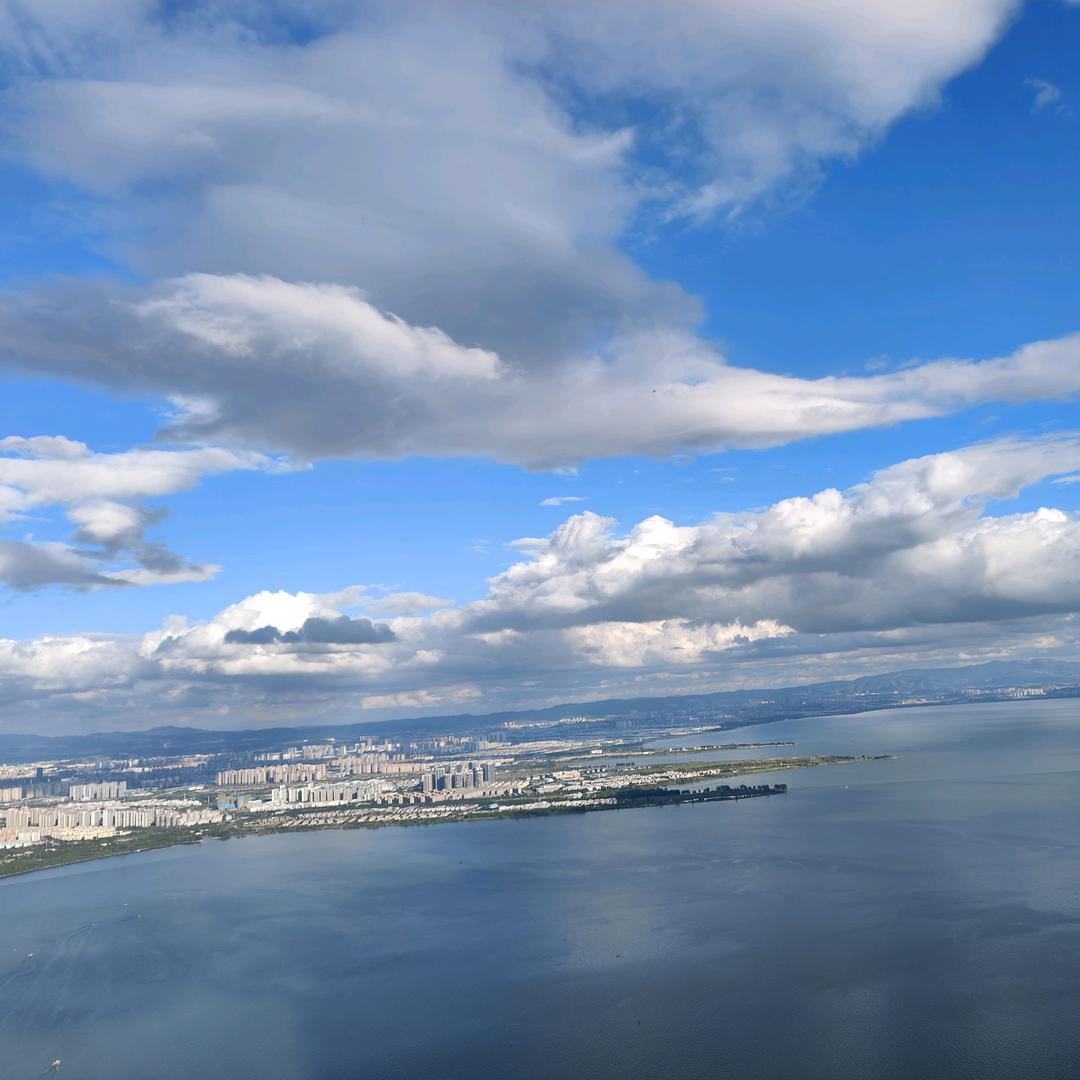 💖王🍓事随风