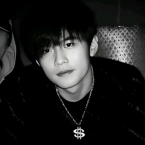 四川蓉城壹贰叁科技有限公司