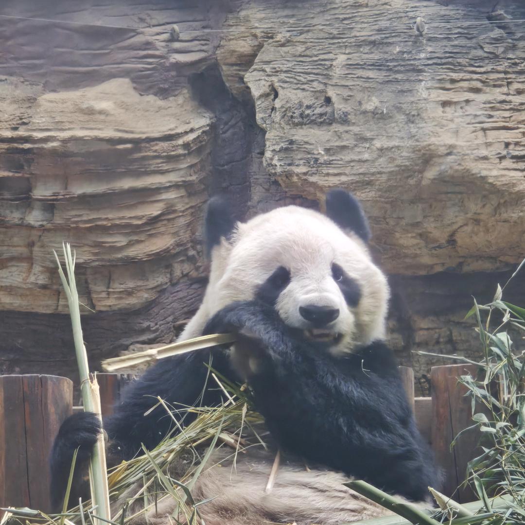 图书管理员
