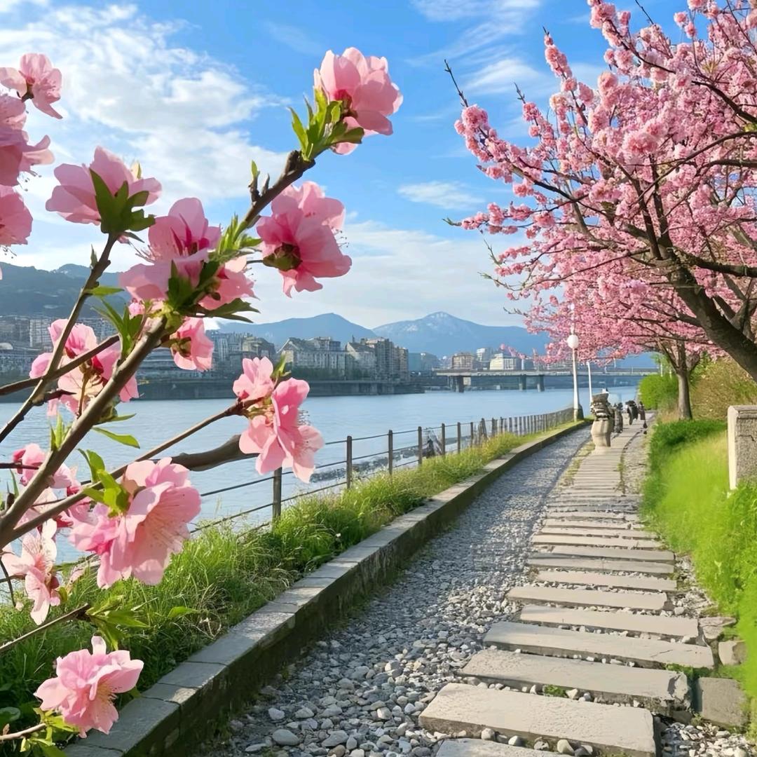 香儿