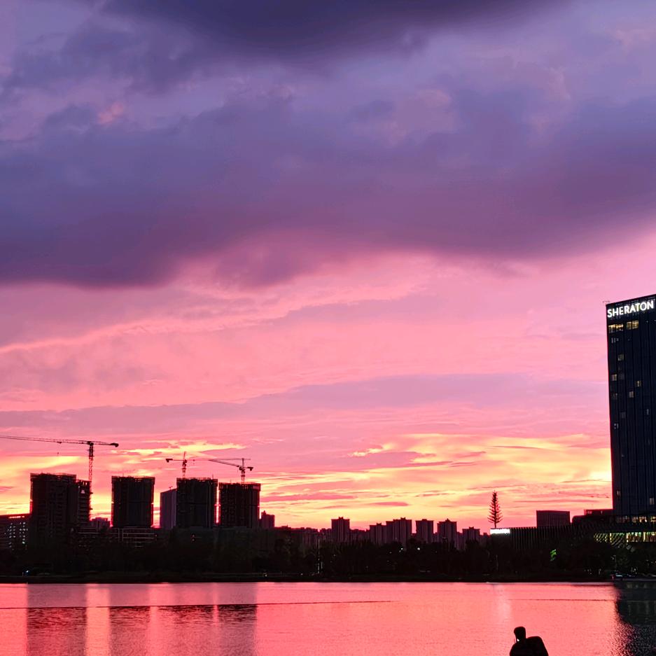 驰子又又来了