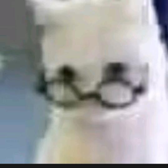 迷途书童头像