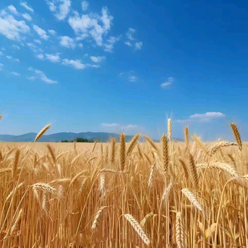 ღ᭄转身陌路💞ঞ᭄༊