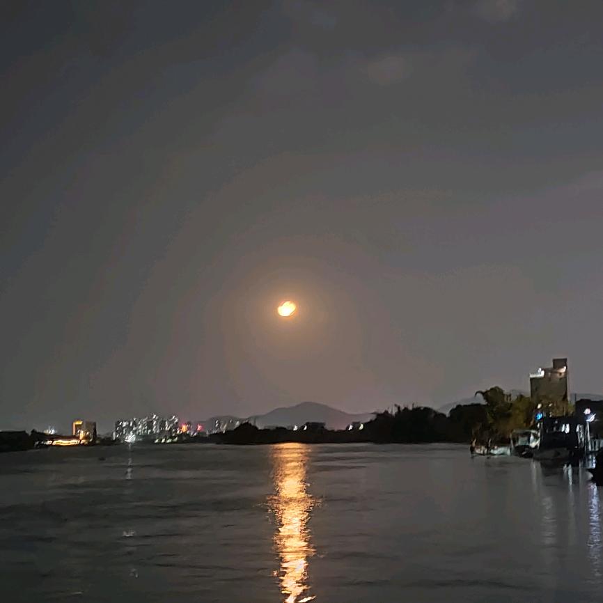 满山猴子🐵我腚最红