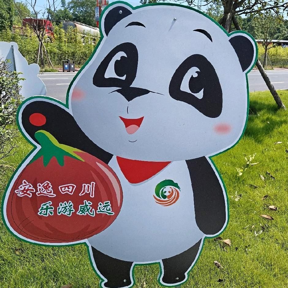 飞行员木子