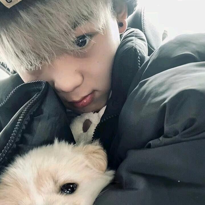男神:晋鑫😃