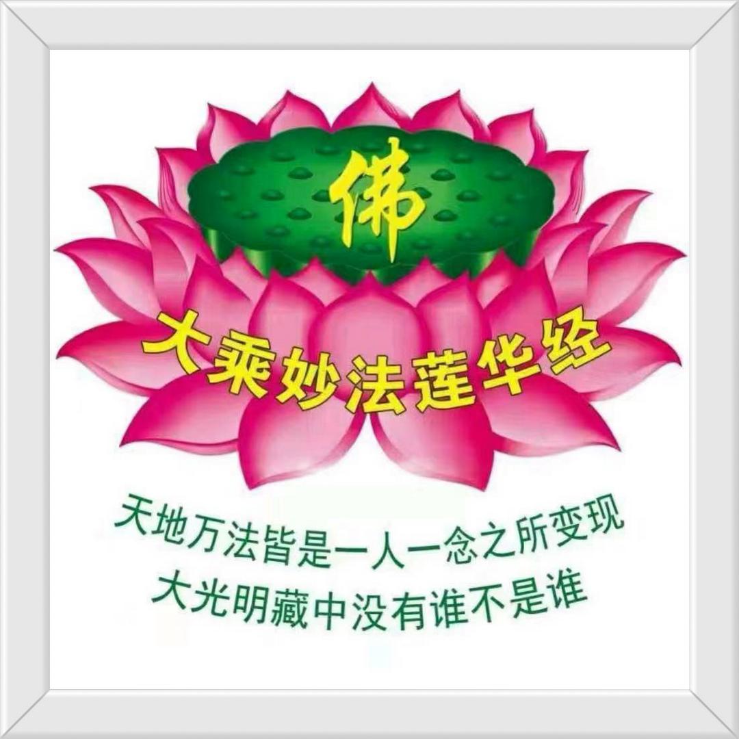 学乐到老