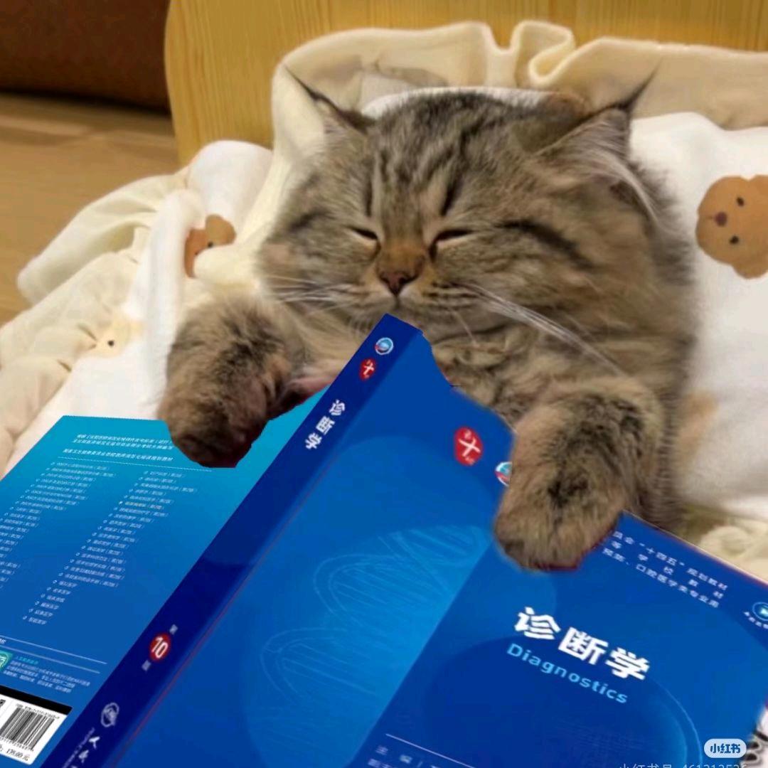 零星小睡🙅
