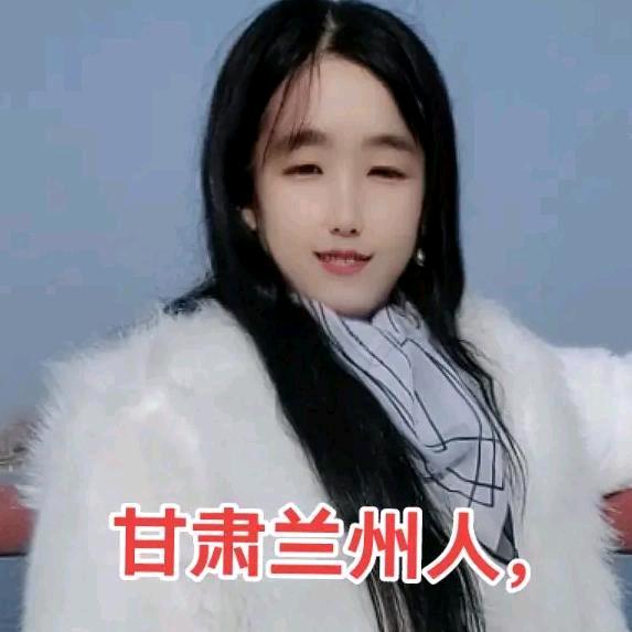 琴1841L
