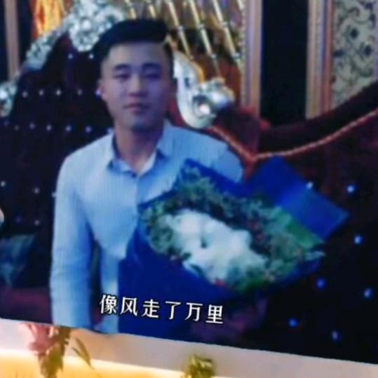 为你停劉