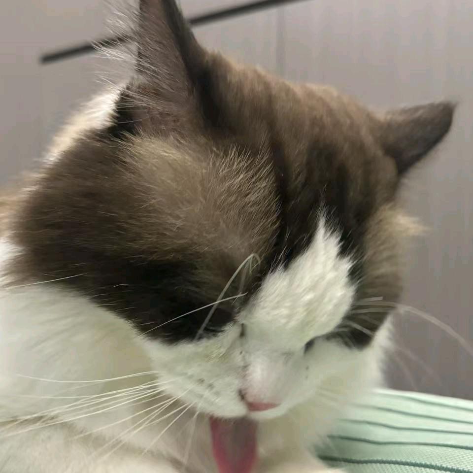 梅梅