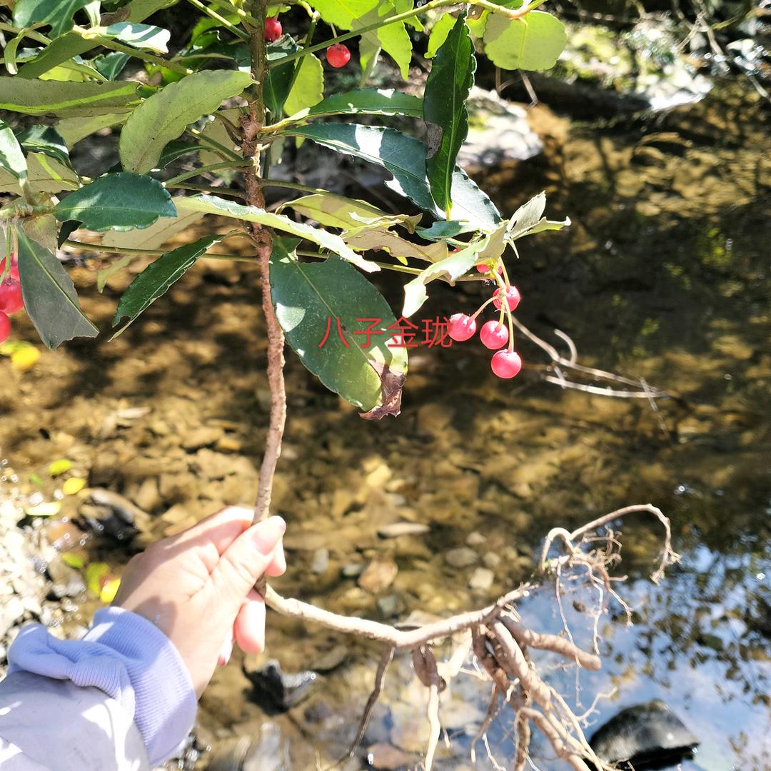 ༊ღ冷眼᭄看💔俗世᭄ᝰ