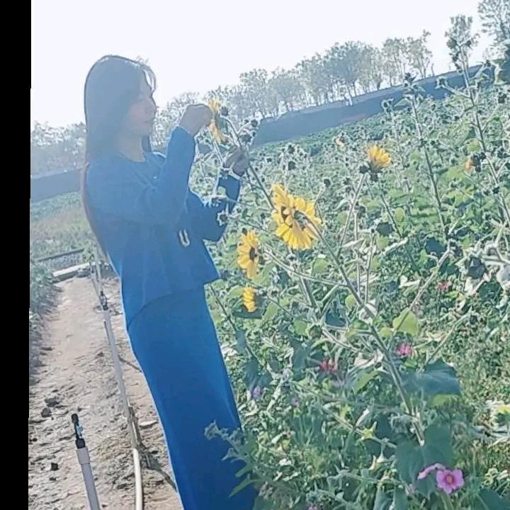 ꧁꫞浪💞漫樱花꫞꧂