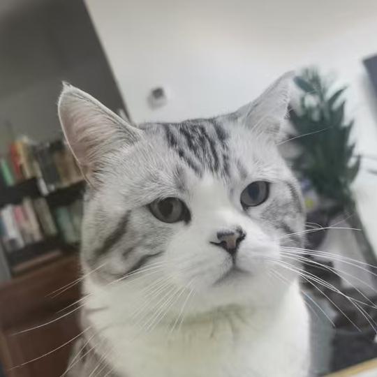 猫姐潮流馆