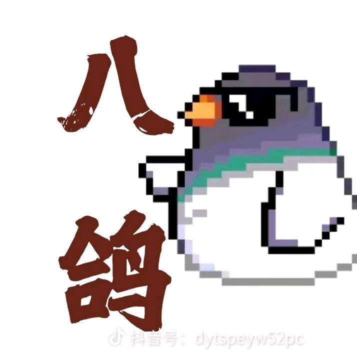 八鸽工作室