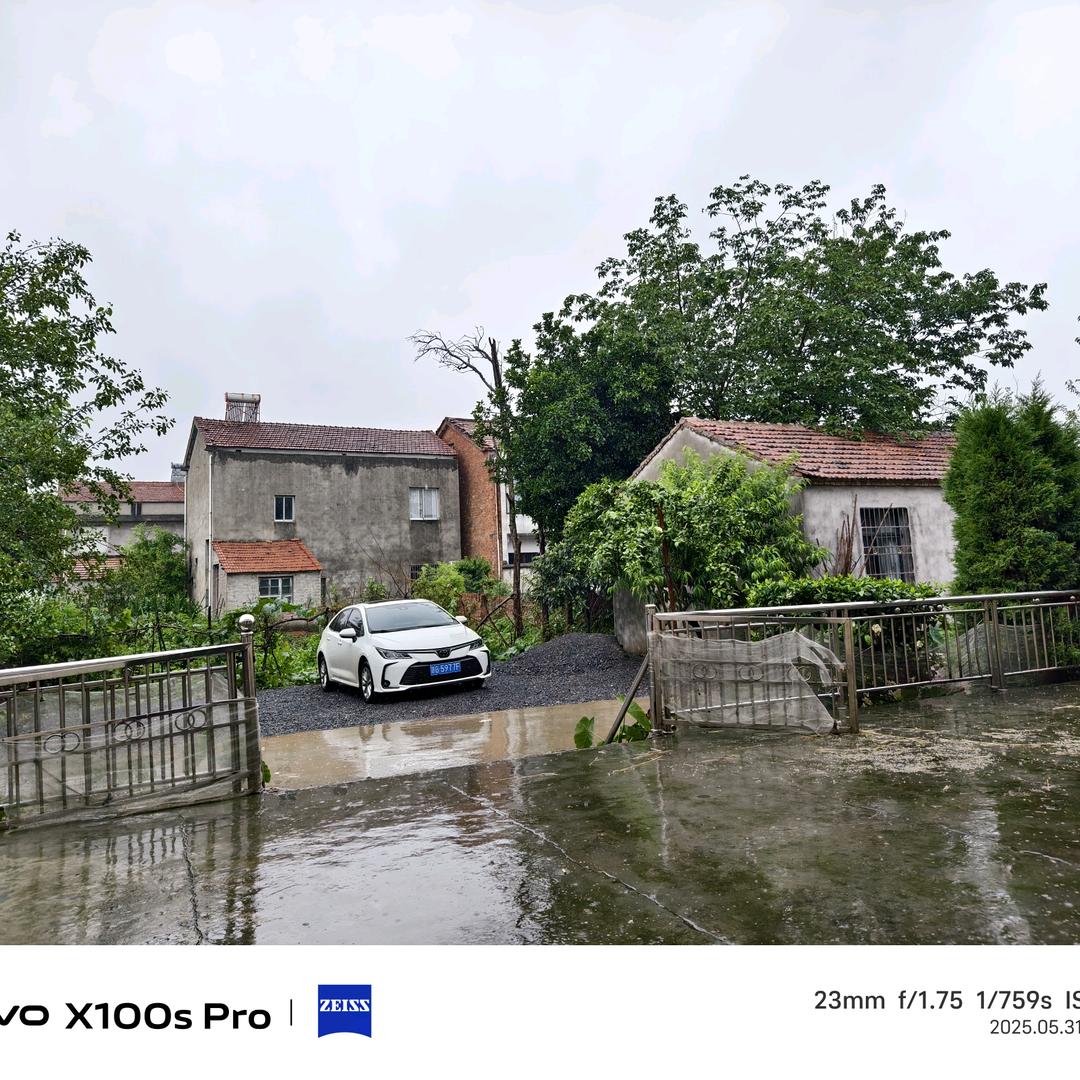 四季青在黄河喝橙汁