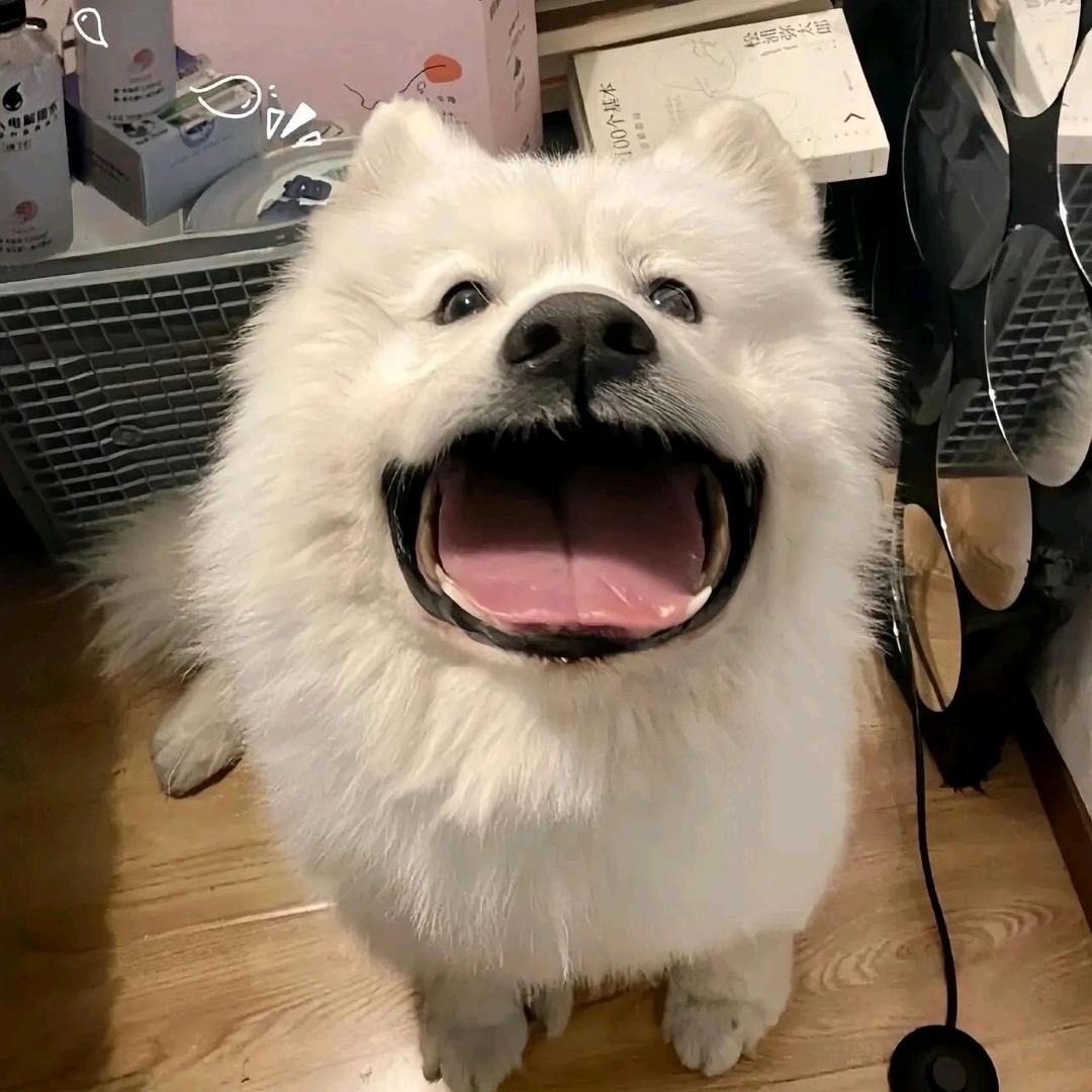 xiao.