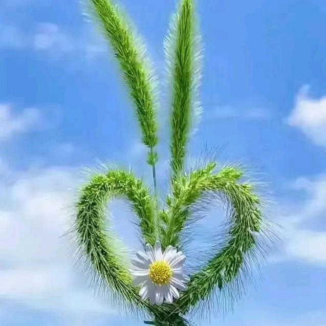 忘记了过去的，