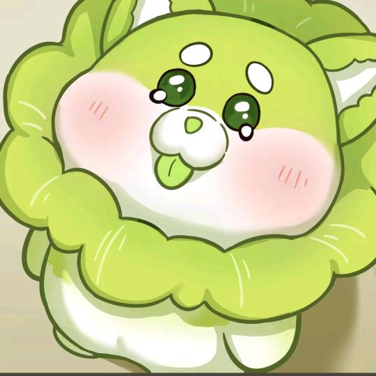 菜狗小曾
