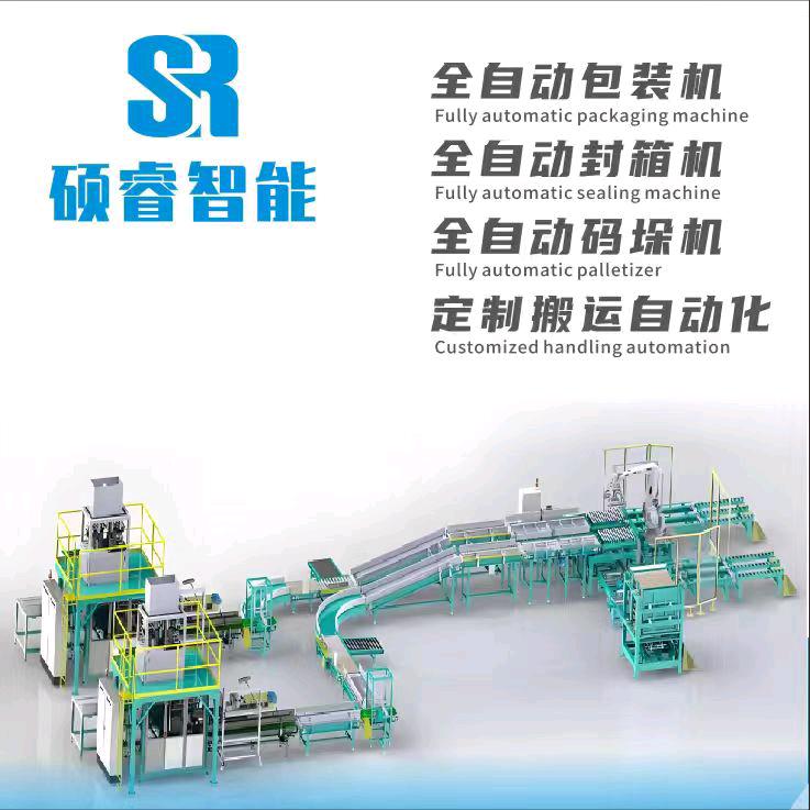 硕睿智能-全自动包装机-码垛机器人