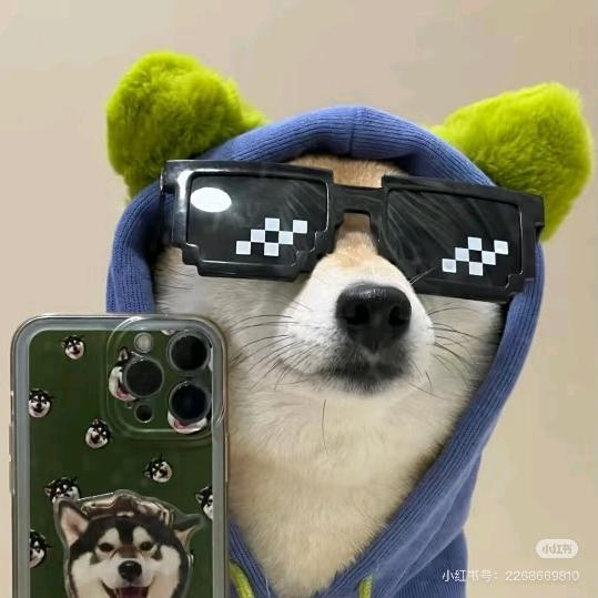 陈小凡