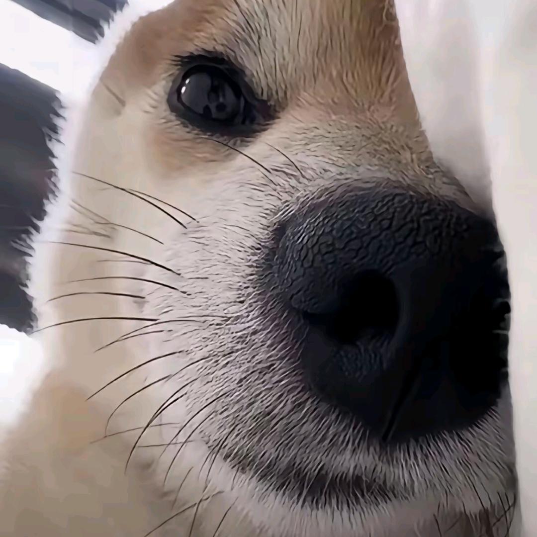 螺纹钢