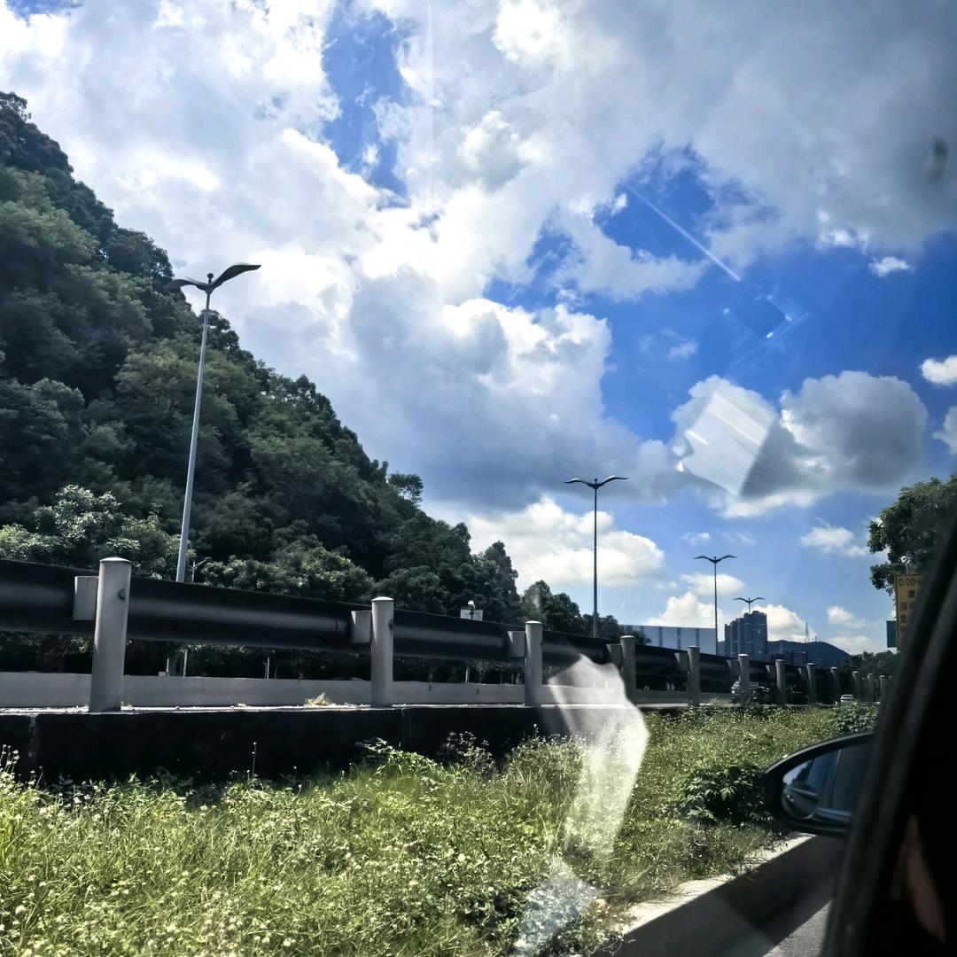 蔡蔡蔡豆豆豆呀