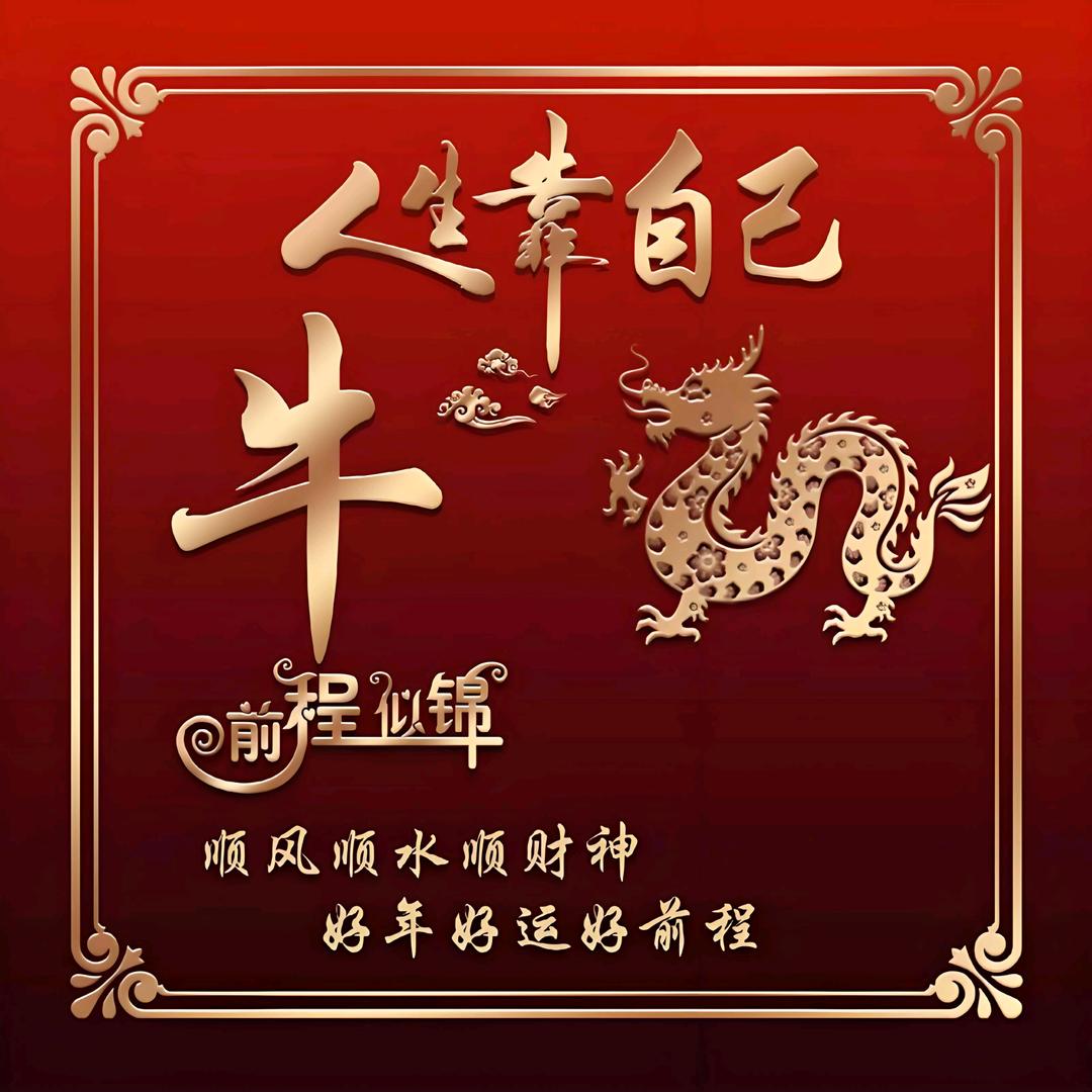 会飞的🐉🐉🐉🐉