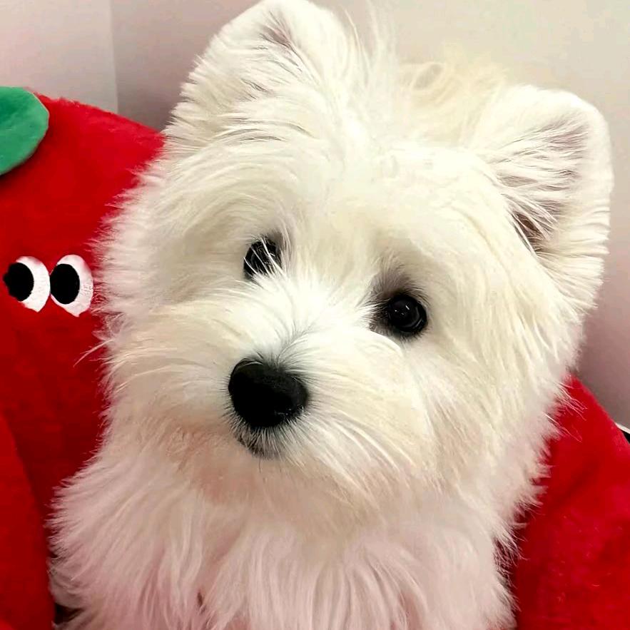 苏宁易购立水桥店