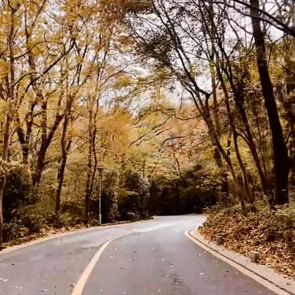 如果最后不是你