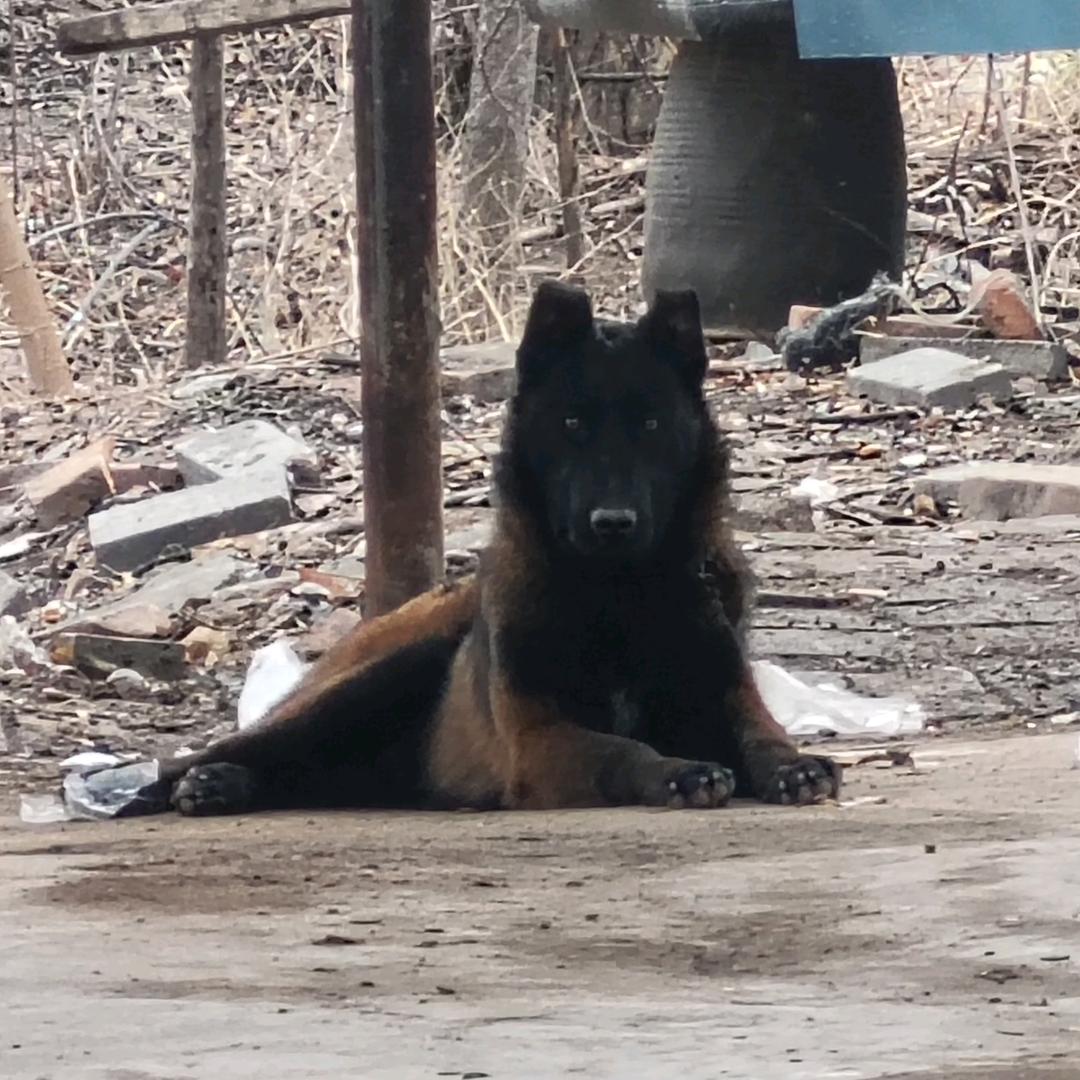 💞໑ຼₒ₂5ღ᭄一路发财꧔ꦿ᭄💞