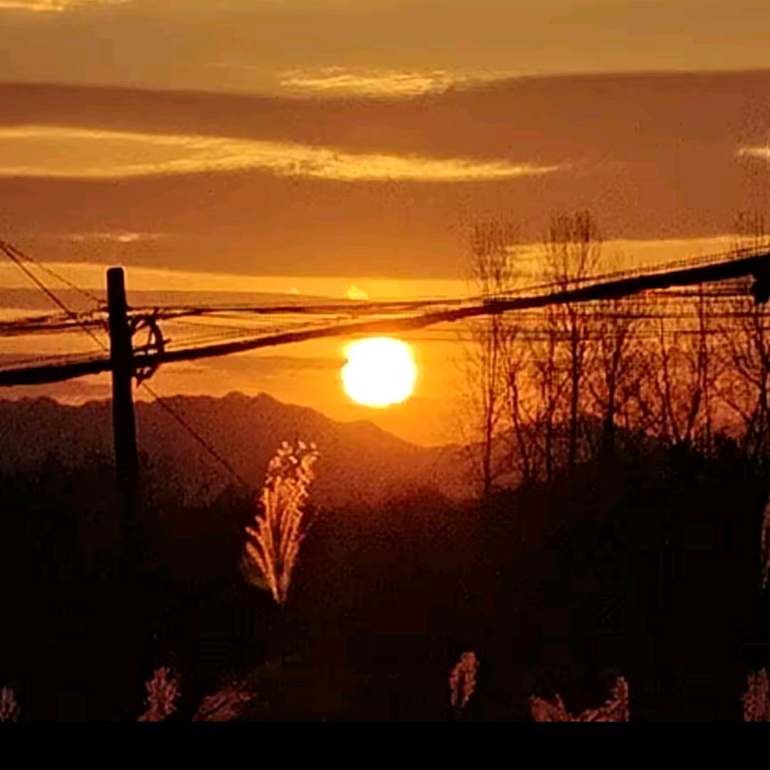 人生如梦（总探长）