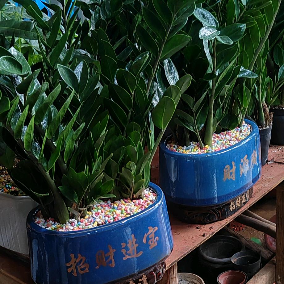 遇见花店五里岗新荣家园I附近